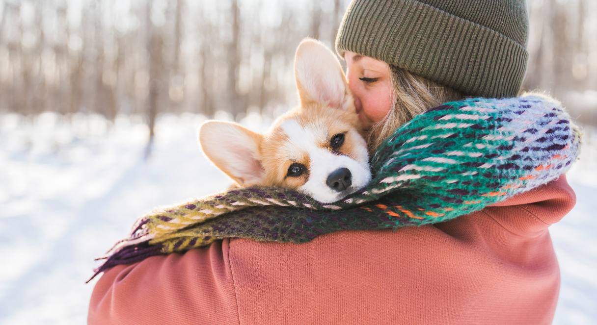 Woman holding a corgi puppy, snow in the background