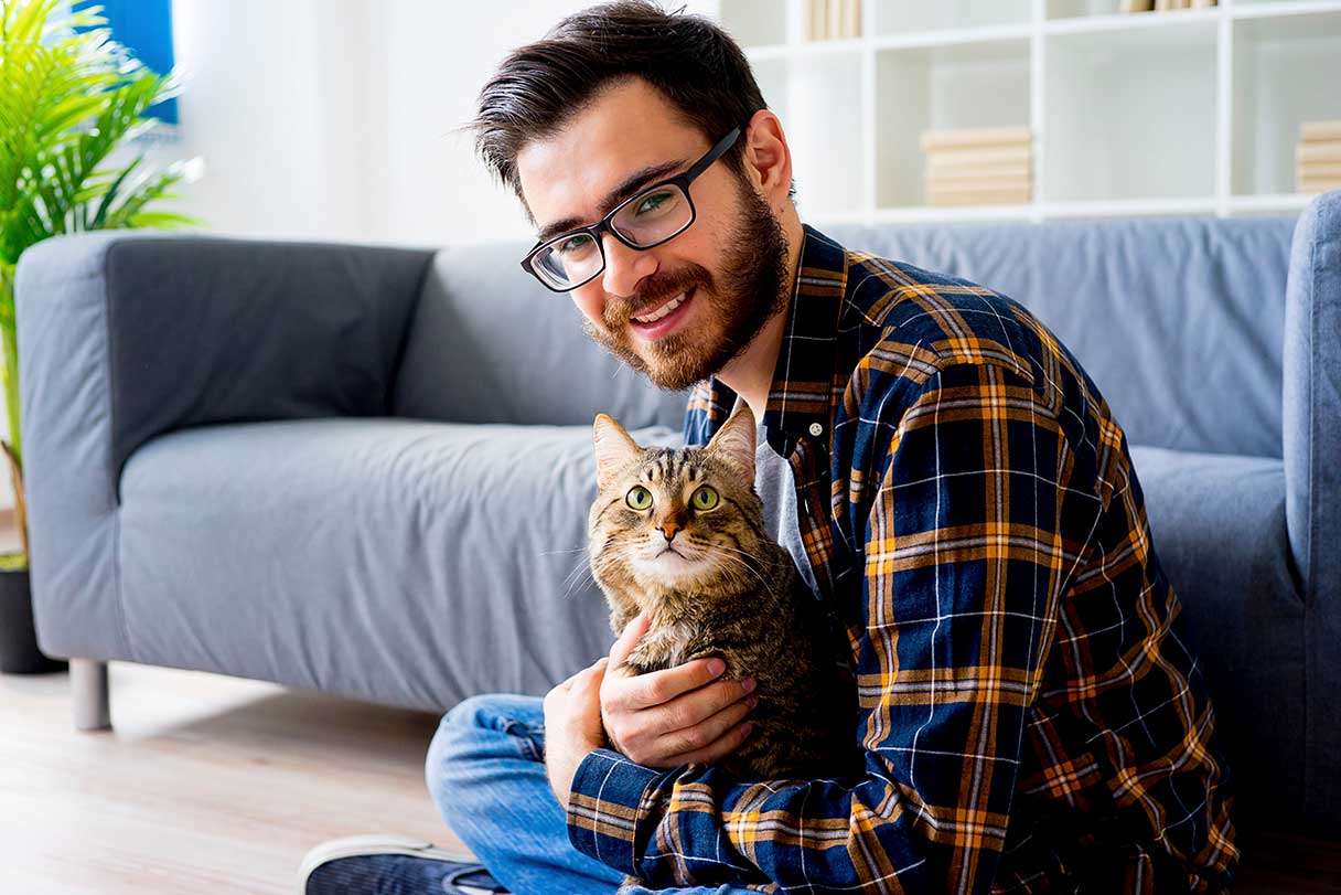 How Much Does A Cat Or Kitten Cost? – Forbes Advisor