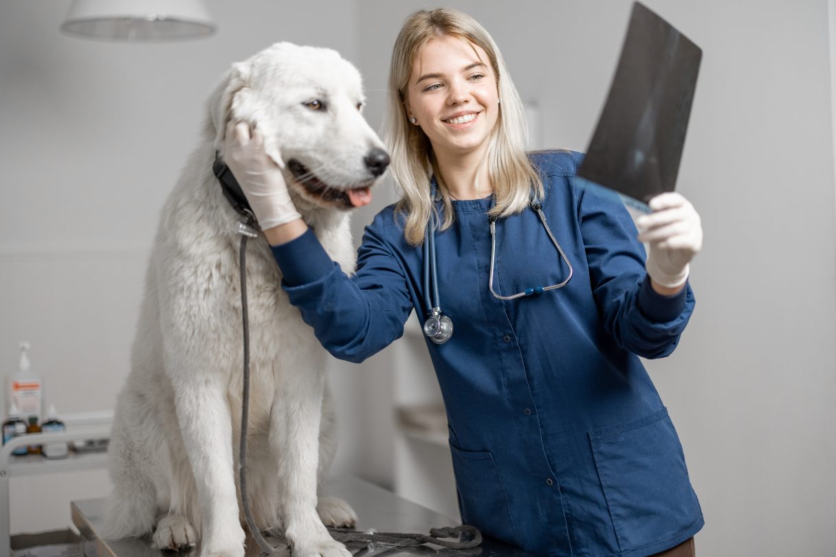 Veterinary tech with dog, looking at scan results