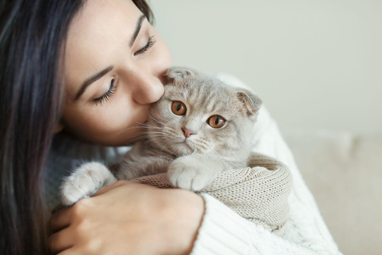 Woman kissing gray scottish fold cat