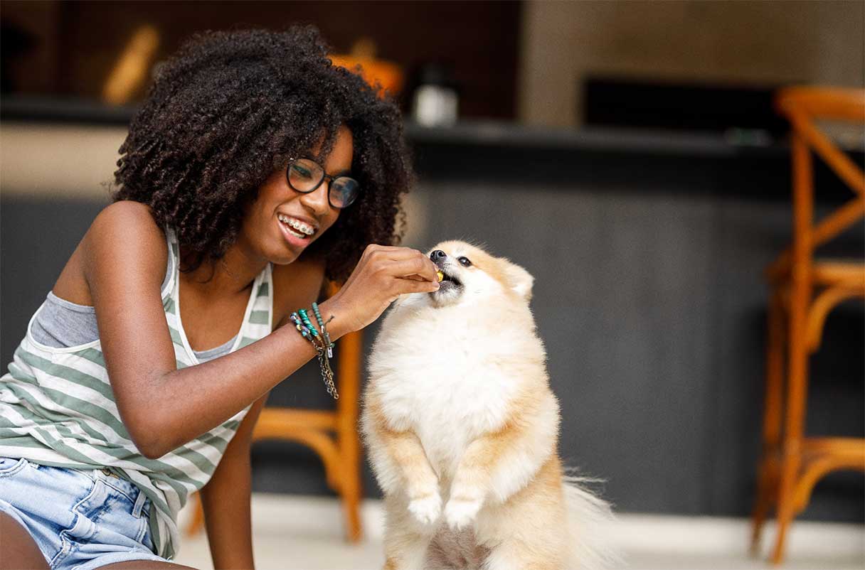 Dog on discount top of woman