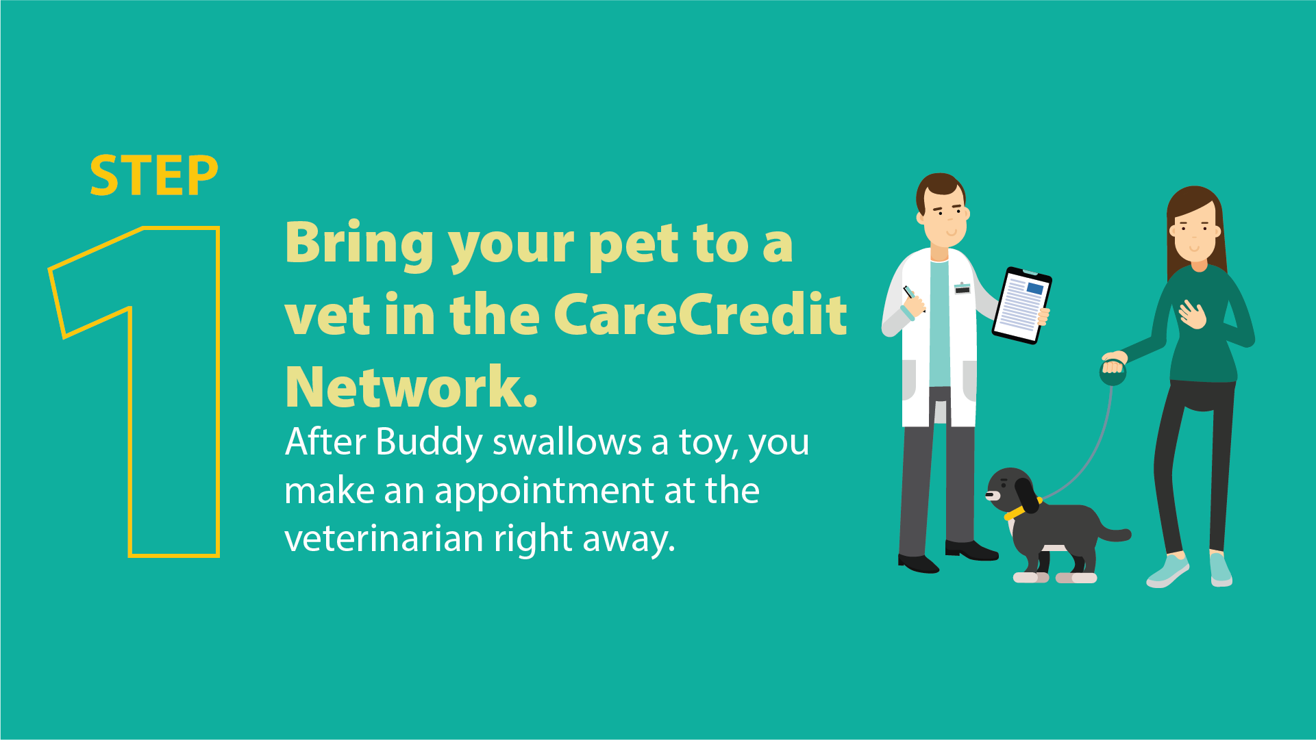 Bring your pet to a vet