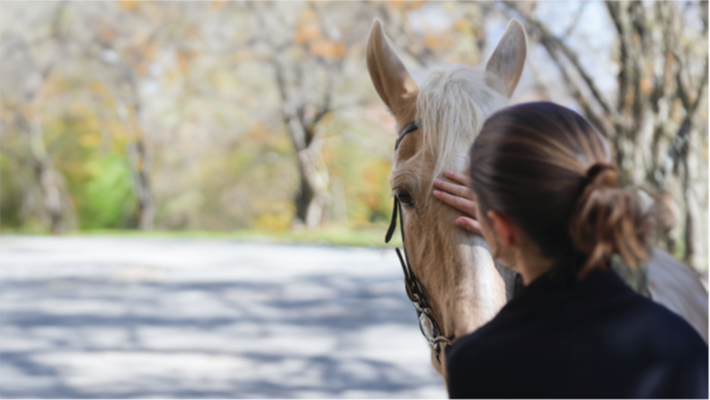 Woman petting a horse