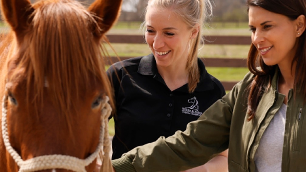  supports-care-for-horses